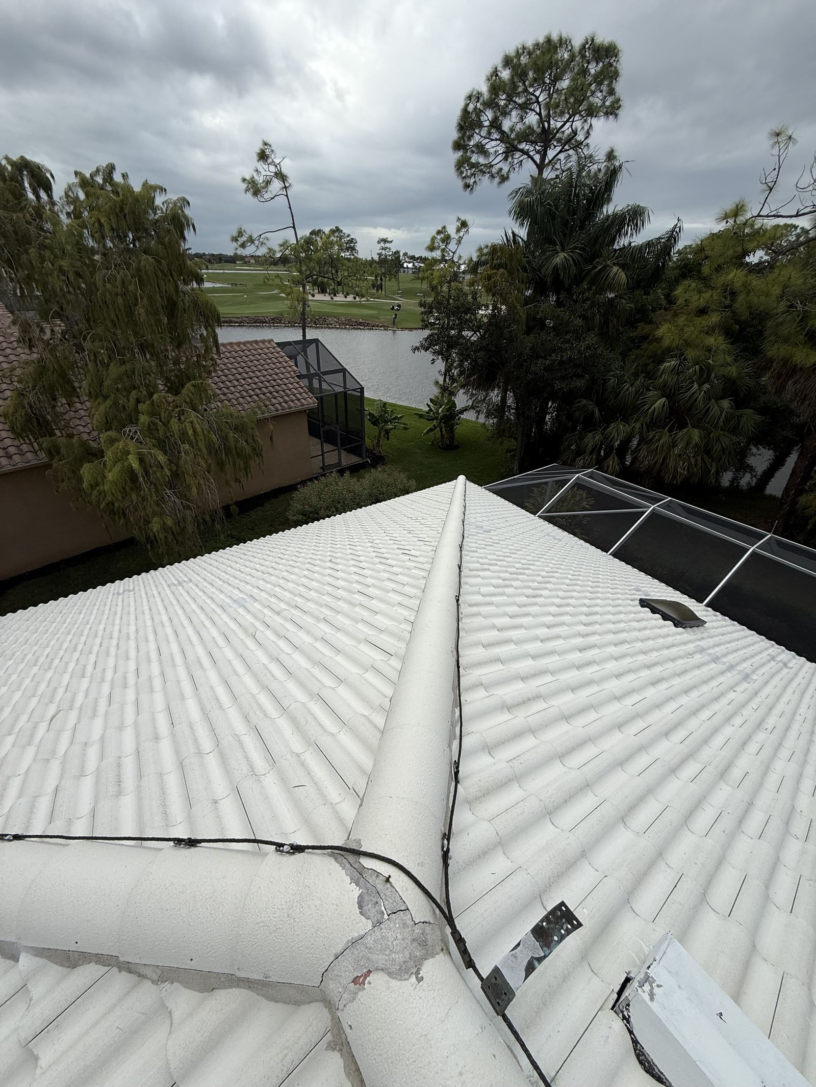 Shingle roof after wash