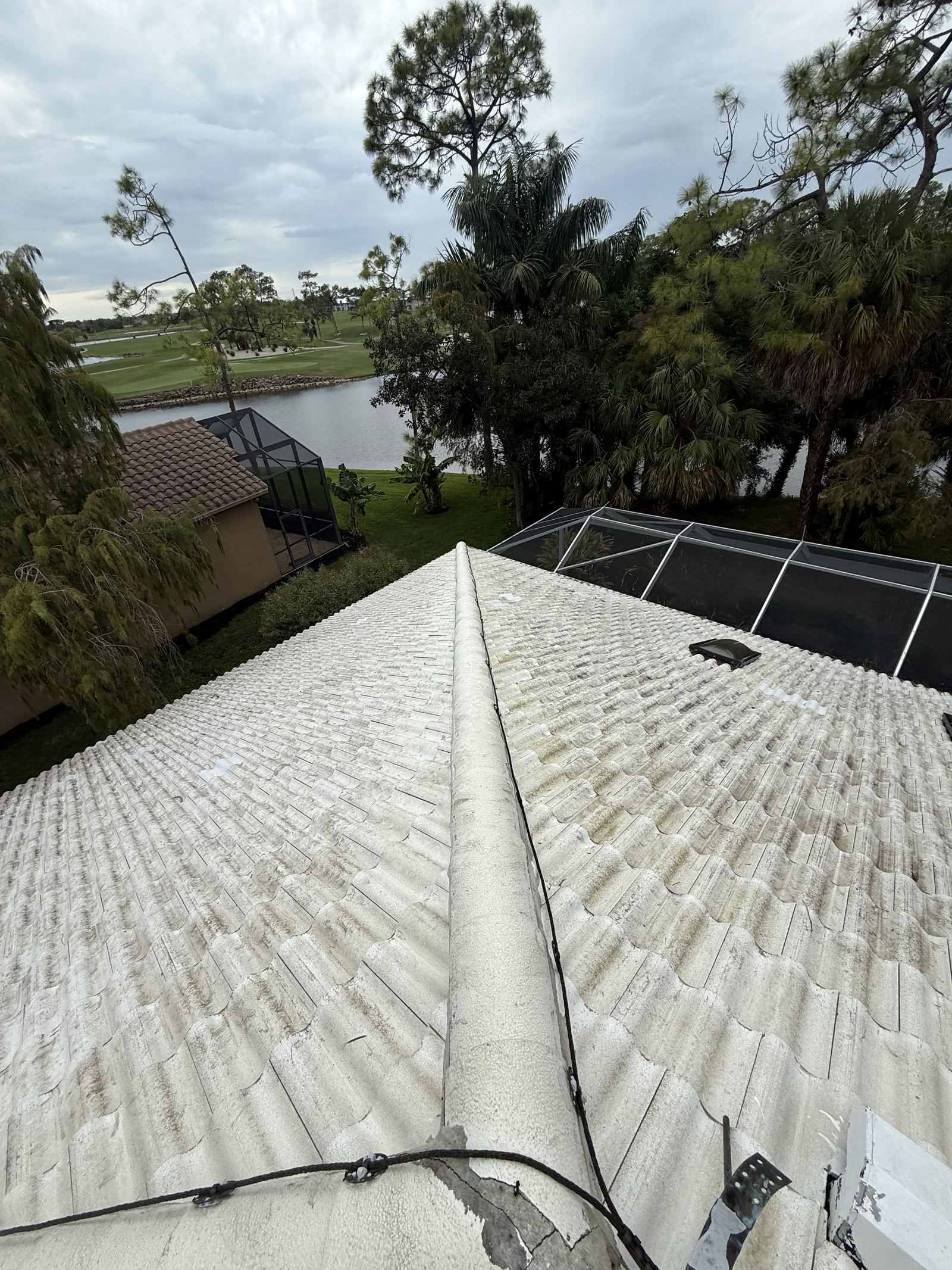 Shingle roof before wash